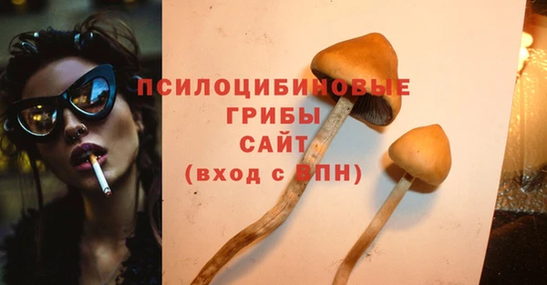 дживик Лабытнанги