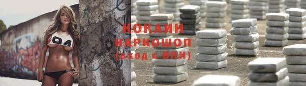 ГАЛЛЮЦИНОГЕННЫЕ ГРИБЫ Лагань