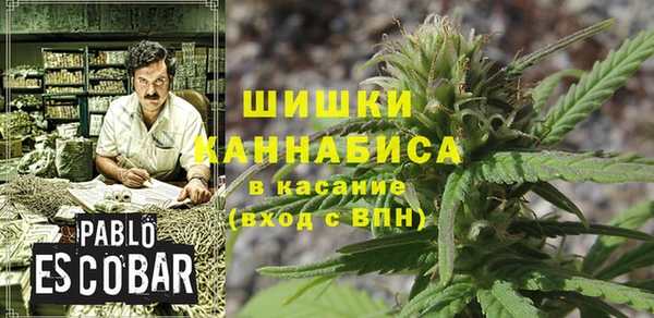 ГАЛЛЮЦИНОГЕННЫЕ ГРИБЫ Лагань