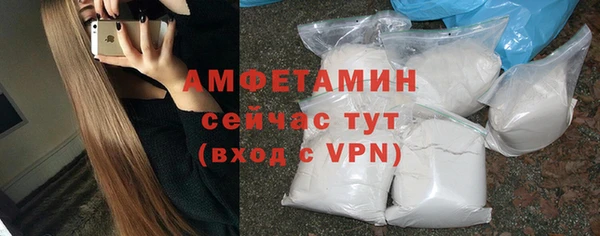 ГАЛЛЮЦИНОГЕННЫЕ ГРИБЫ Лагань