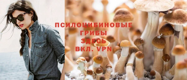 молекула духа Кулебаки