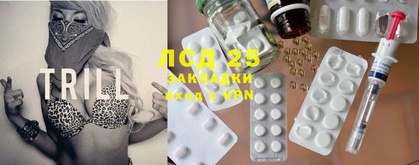 ГАЛЛЮЦИНОГЕННЫЕ ГРИБЫ Лагань