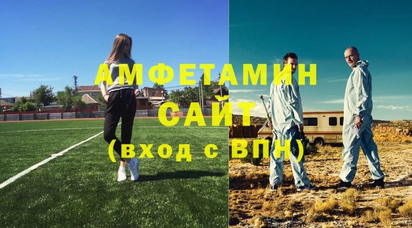 ГАЛЛЮЦИНОГЕННЫЕ ГРИБЫ Лагань