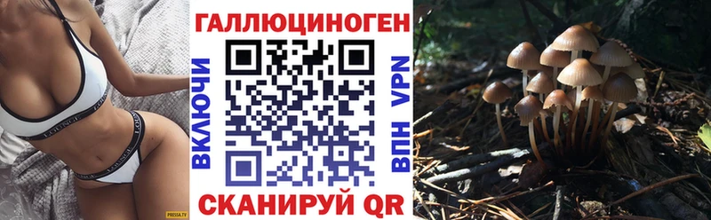 Псилоцибиновые грибы прущие грибы  Теберда 